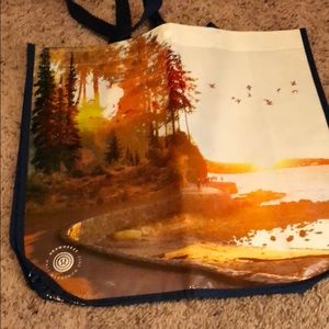 Lululemon bag